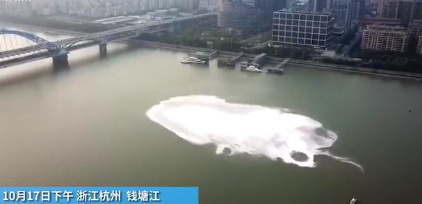 渔民被困钱塘江:南京长江上哪里可以观测到江豚？