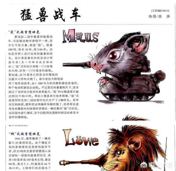 动物园安第斯山猫:非洲雄狮能打得过美洲豹吗？