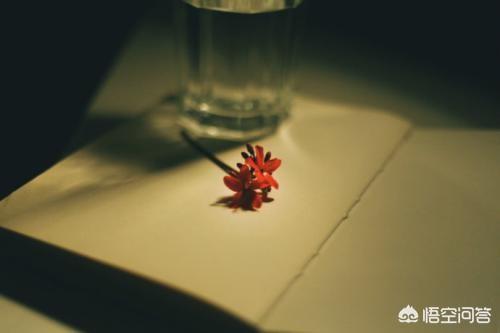 月经期便血是怎么回事:月经来后大便有血是怎么回事？