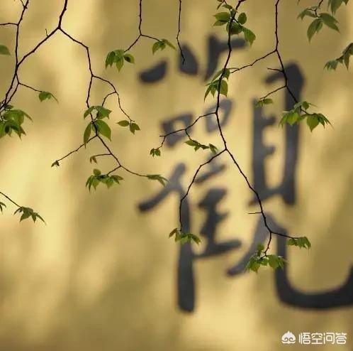 格局这种东西说多了像洗脑,你怎么理解格局？