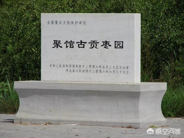 沧州有哪些必带的土特产？