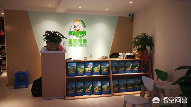 北京宠物店加盟费:北京宠物店加盟有市场吗？ 北京宠物店加盟费用