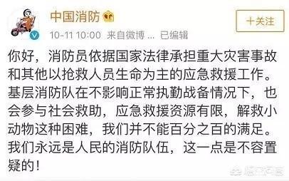 上海消防员救狗跳粪坑:消防战士为了救掉进冰窟窿的人而殉职，你怎么看待？