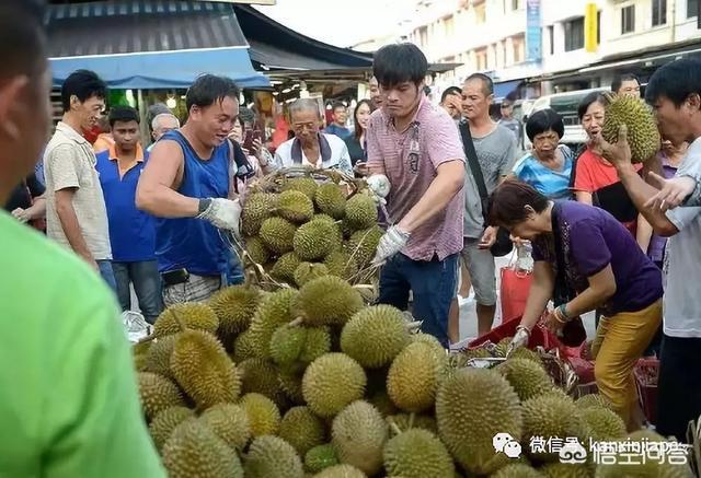 榴莲金菠萝图片:新加坡人究竟有多爱榴莲？