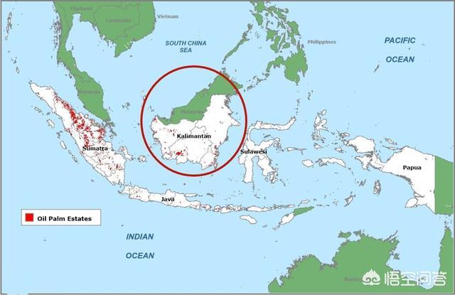 加里曼丹岛可耕地面积?（文莱位于加里曼丹岛西北部）