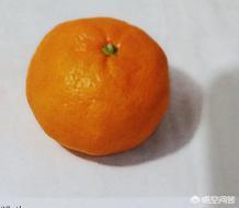 色彩畫一個簡單的橘子怎么畫呢？(梨子怎么畫簡筆畫圖片)
