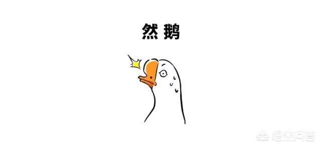 熊赐履:为什么有人说乾隆盛世是可耻的？
