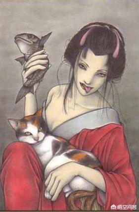 .日本截尾猫:如何评价日本摄影师Yamakawa镜头下的日本流浪猫？