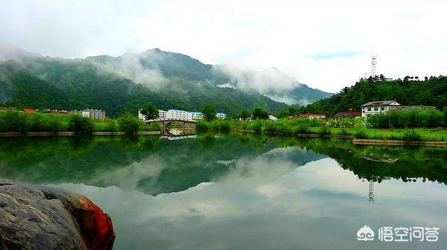 什么行业才是未来大趋势？为什么？插图45