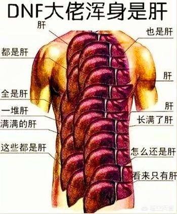 爆肝是什么意思，有些人玩游戏为什么叫“肝”游戏