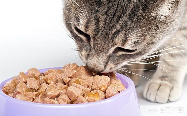 ciao猫零食是毒粮吗:猫冻干含有盐分吗，猫咪冻干含盐量多少？