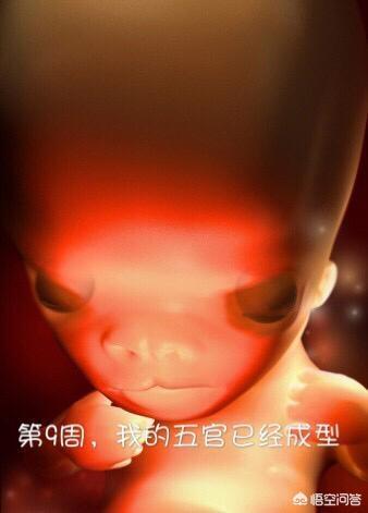 宝宝是如何从胚胎蜕变为胎儿的？
