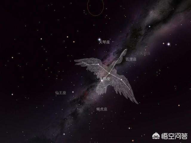 那其他星系里还有更大的吗?(23个回答)