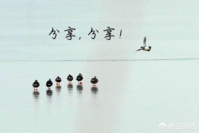 男t恤批发微信群:自从有了微信后，经常在朋友圈晒生活照片的人是什么心态