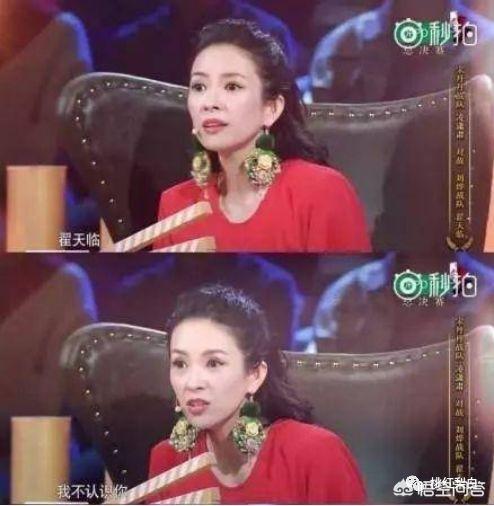 辛芷蕾八卦:为什么说辛芷蕾一刀斩断女星武侠梦？