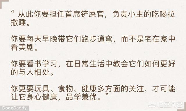 养狗这件事:养狗这件事在线观看 想要养狗，但是需要避开那些误区？