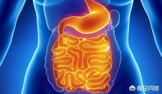 小孩慢性肠胃炎的症状:小孩慢性肠胃炎的症状及治疗 慢性肠胃炎都有哪些忌口？