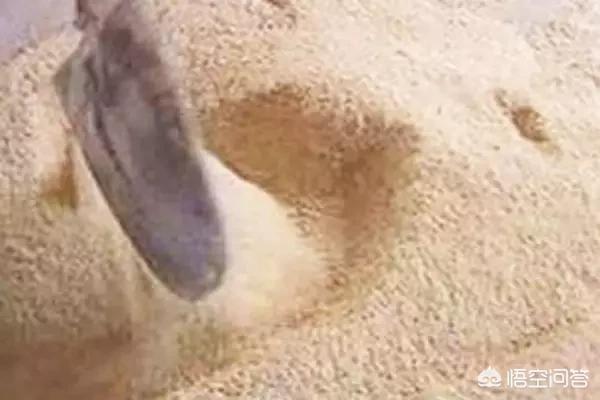 动物性饲料的加工:农村养猪自制配合饲料需要的原料包括哪些？