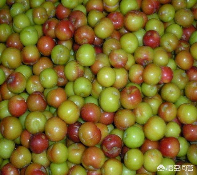 你的家乡有哪些农村"土水果"?(介绍家乡水果的文章?