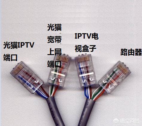 怎样制作网线(网线接头怎么接)