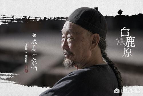 白鹿原停播:电视剧《白鹿原》为什么收视率不高呢？