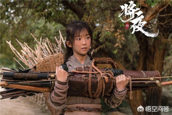 将夜的演员:电视剧《将夜》中孟子义饰演的道痴叶红鱼，你觉得怎么样？