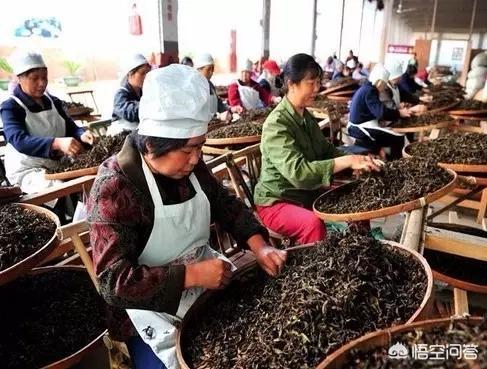 安化黑茶的功效与作用,湖南安化黑茶到底有没有收藏价值？