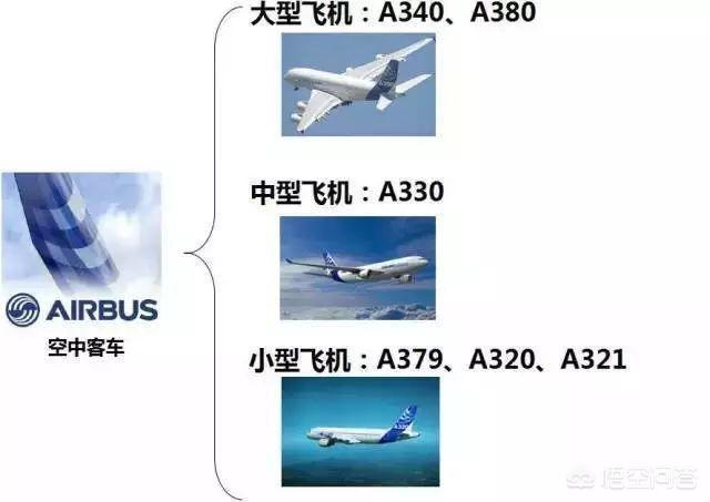 什么航班，一般国际航线航空公司用什么机型的飞机