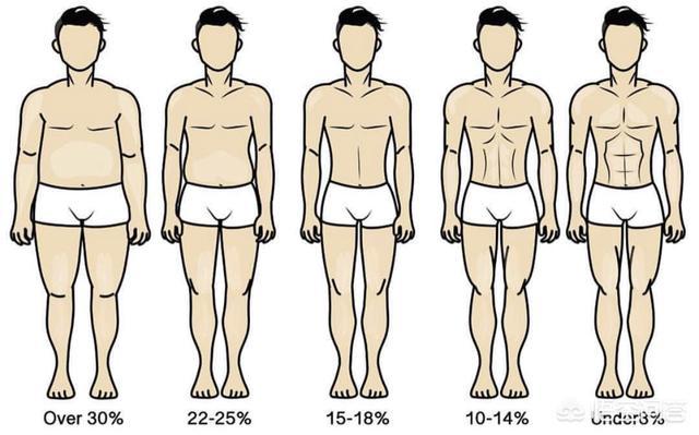 头条问答 长期保持很低的体脂率对身体有什么伤害 22个回答