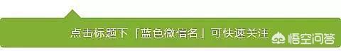 微信免费引流软件:用哪些辅助工具来辅助引流效果快？有哪些软件推荐？(引流软件有哪些 好用吗)