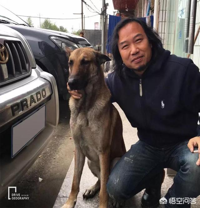 带宠物出国旅游:带宠物自驾游是一种怎样的体验？ 带宠物出国旅游回国