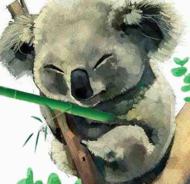 啃竹子的袋树熊头像