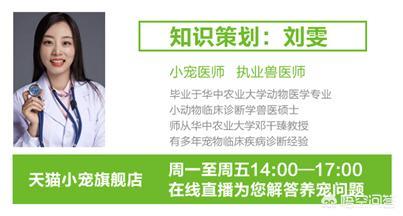 骑士查理王猎犬2020年新款:适合城市里养的狗狗有哪些？能否推荐下？