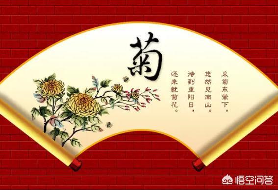 古代关于菊花的诗有哪些？