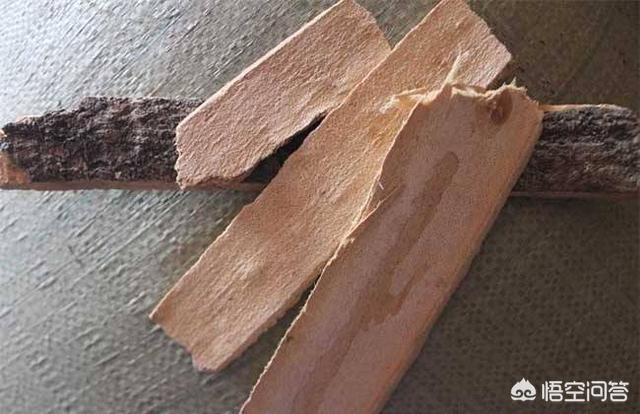 枫香树叶提取物:农村常见的香椿树皮有什么用途？