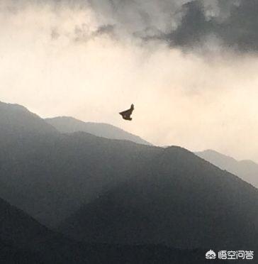墨西哥城市灵异事件:墨西哥曾发现“外星婴儿”，这是真的吗？