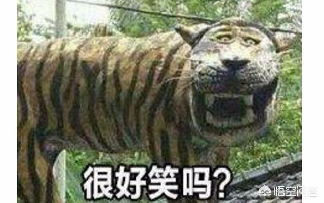 东北虎的资料:东北虎的资料简介介绍 野生老虎和圈养老虎数量是多少？为什么会这样？