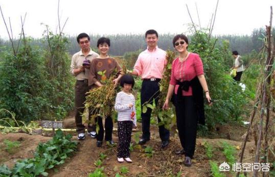 网上算命怎样推广,网上种地怎么向客户推广？