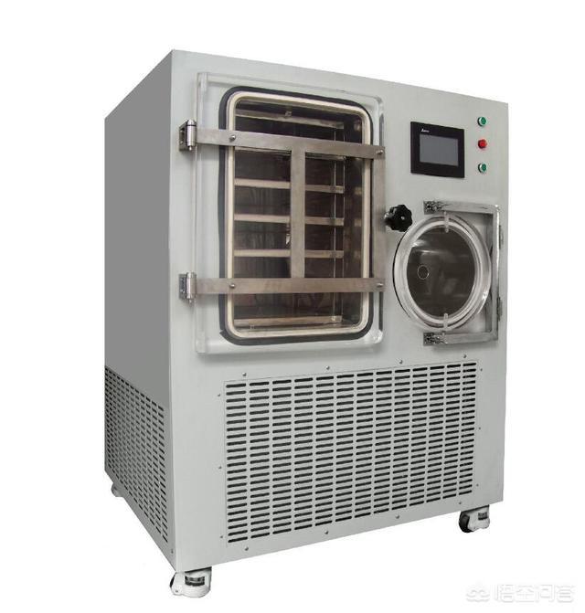 优爵宠物食品好不好:经常给猫咪吃零食，有必要吗？怎样养猫比较好？