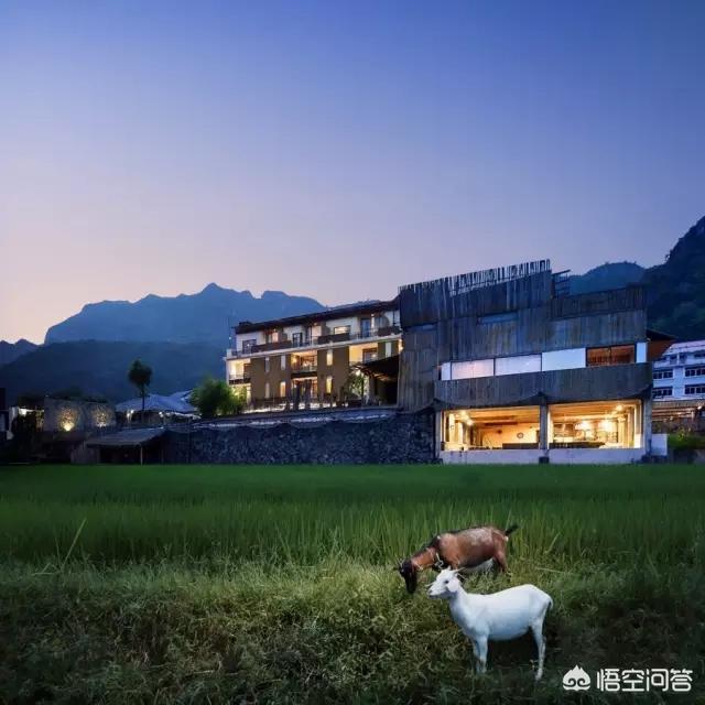 以“稻田”为主题的民宿客栈有哪些推荐