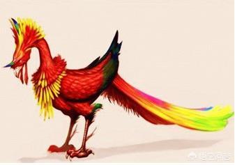 小猫一尾作品集下载:《火影忍者》九大尾兽的神话来源是怎样的？