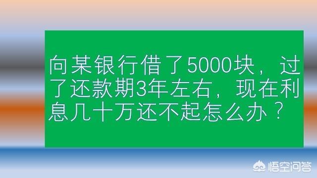 向某银行借了5000元，还款期过了3年左右，现在利息几十万还不起了，该怎么办？