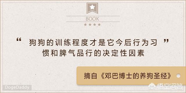 怎么挑选聪明听话的小狗:狗狗的品种很多，性格也不相同，怎样选择适合自己的爱犬呢？ 什么小狗聪明听话又好养