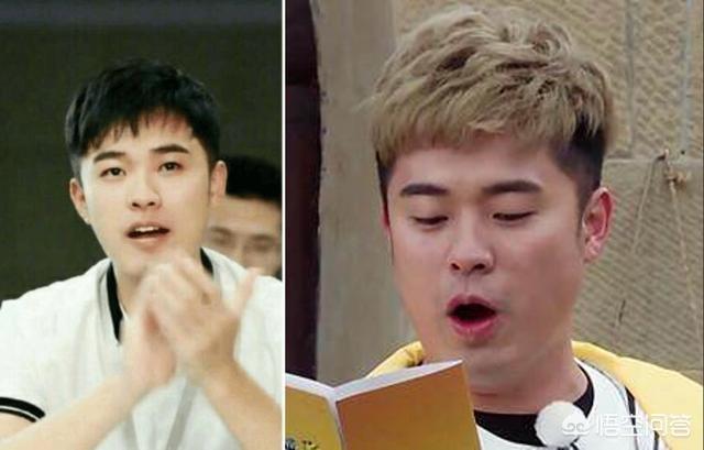李智楠女友:金莎单身这件事，你有什么看法？
