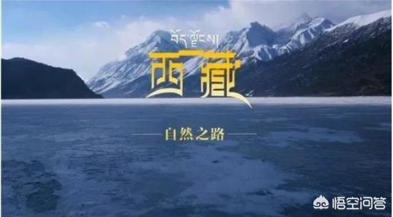 神奇的中国纪录片，中国有哪些好电视剧达到了美剧永远拍不出来的水准