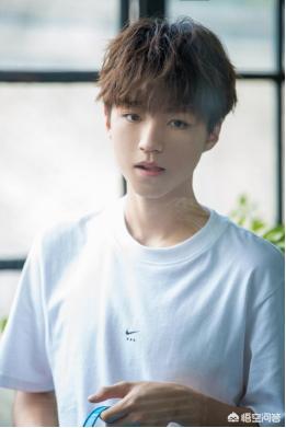 稀土部队是谁:如何评价章子怡、陈坤等名星怒怼DG设计师