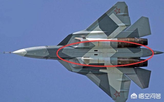 阿根廷巨鸟如同一架小型战斗机:苏57和F35战斗机，哪个更强大？ 巨鸟战斗机