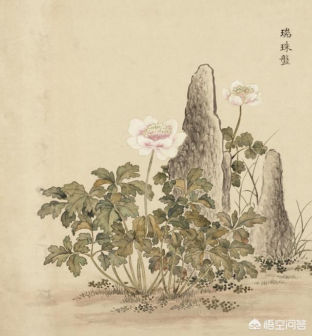 周香芸:怎么评价影视剧《鬓边不是海棠花》？