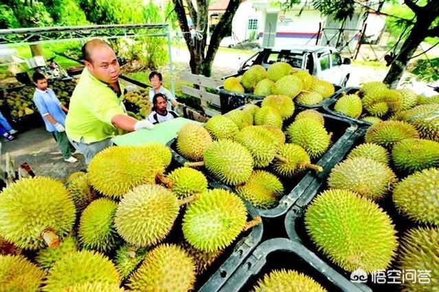 马来西亚拿督:马来西亚的爵位是如何称谓的？