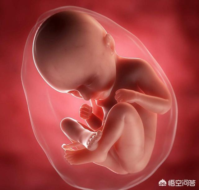 怀孕35周的时候胎儿是什么情况